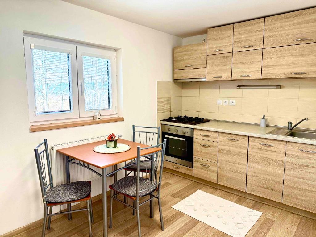 Kuchyň nebo kuchyňský kout v ubytování Ubytování Koliba pod Stolovou