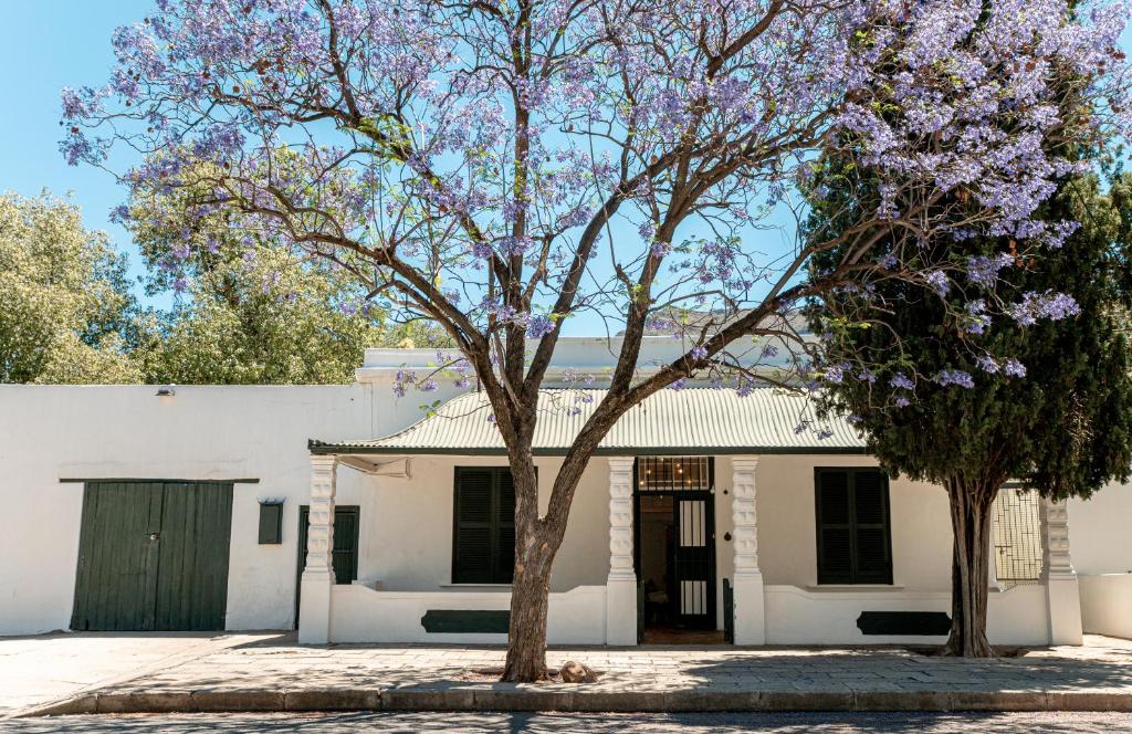 Cottage at 48 في غراف-رينيت: بيت ابيض وامامه شجرتين