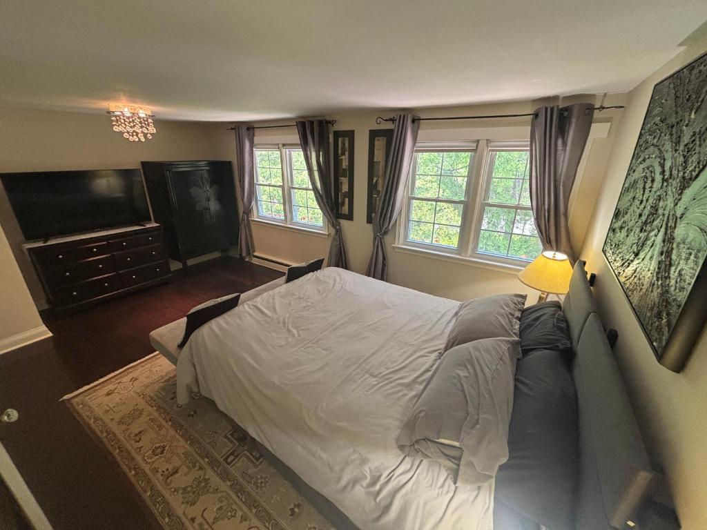 滨湖尼亚加拉Vintage Pines Guest House的一间带床、电视和窗户的卧室