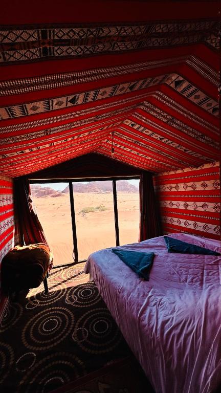 Desert Nights camp