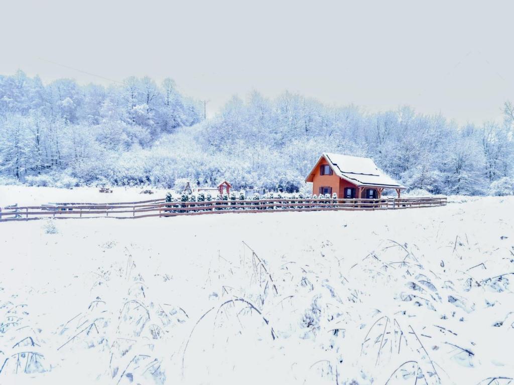 a red barn in a field with snow on it at Szalejówka Domki in Kłodzko
