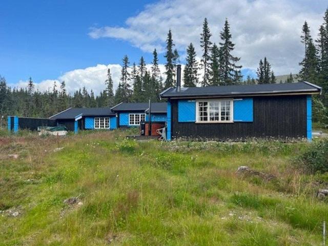 a blue house on a hill in a field at Timber Cabin With Wood-Fired Hot Tub In Trysil in Granåsen