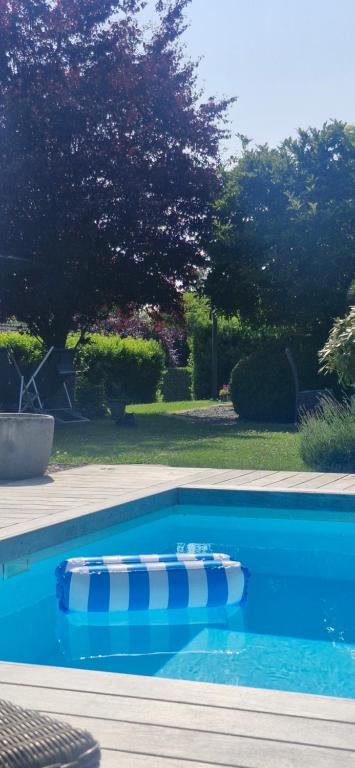 een blauw zwembad met een rij blauwe en witte boeien bij Chez Isa in Malmedy