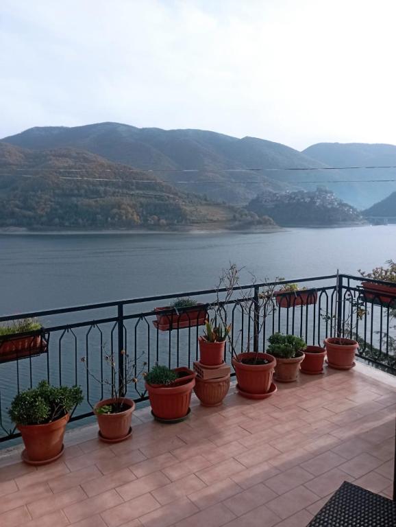 a row of potted plants on a balcony overlooking a lake at Il Piccolo Borgo sul Lago in Rome