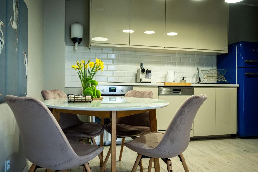 Una cocina o cocineta en Apartament w Kościerzynie