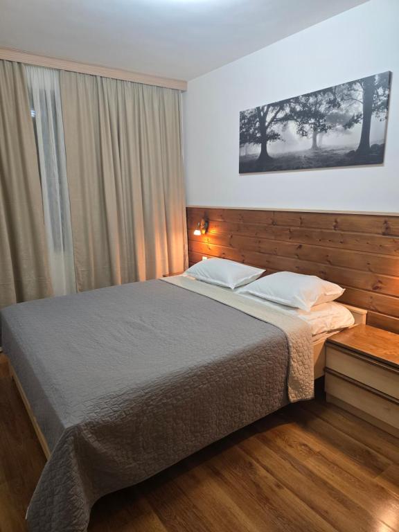 una camera da letto con un letto grande e una finestra di Belvedere K203 a Bansko