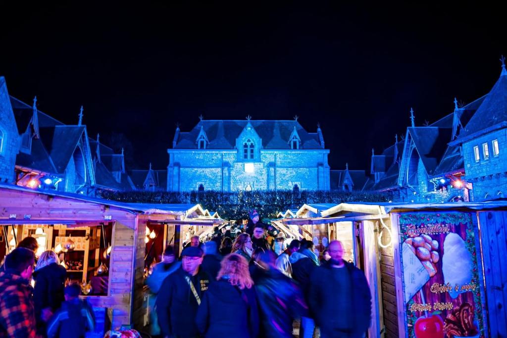 a crowd of people walking around a christmas market at night at Appartement confortable avec cuisine salon salle de bains in Anhée