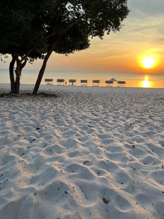a beach with tables and a tree and the sunset at Pousada e Restaurante Cajutuba in Belterra