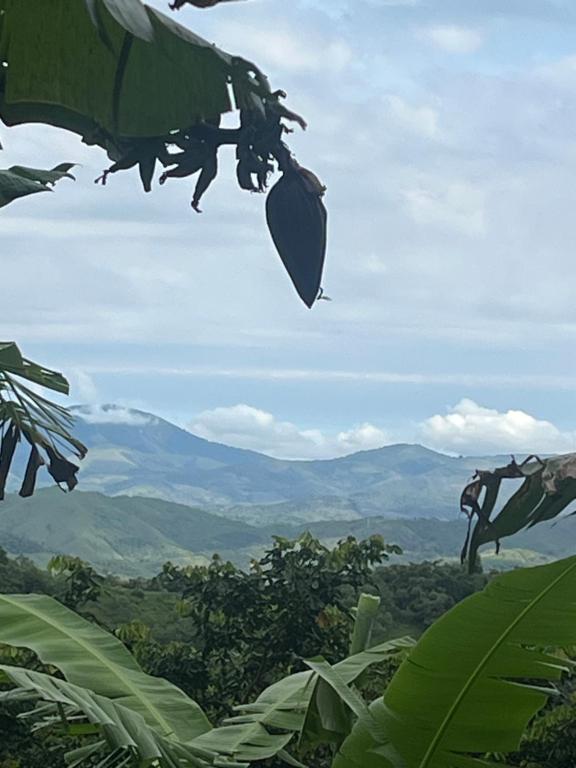 Φυσικό τοπίο κοντά σε αυτό το σαλέ