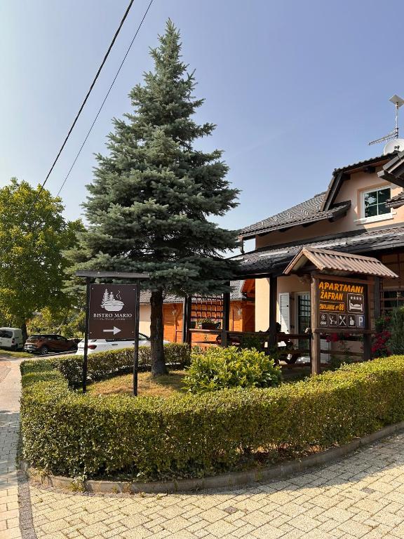 Apartments Zafran - 7