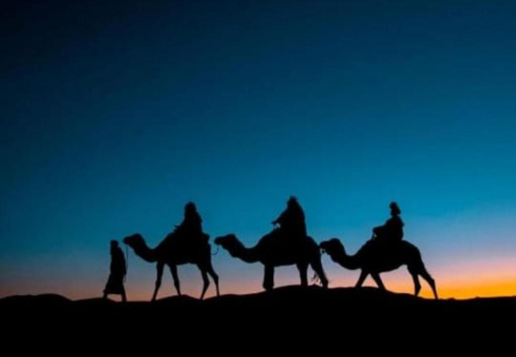 Άλλα ζώα σε οργανωμένο κάμπινγκ ή στη γύρω περιοχή