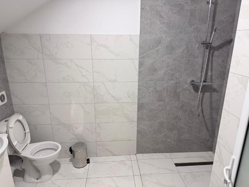 a bathroom with a shower and a toilet at Taverna to Petrino in Craiova