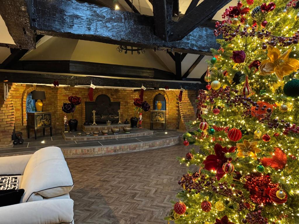 Κήπος έξω από το Balancyoga Guesthouse