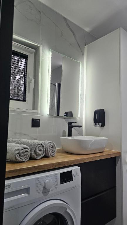 伊诺弗罗茨瓦夫Anpol的配有洗衣机和水槽的浴室