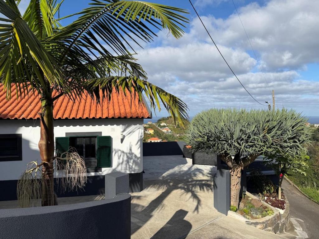 ein Haus mit zwei Palmen davor in der Unterkunft Casa Rosa in Porto da Cruz
