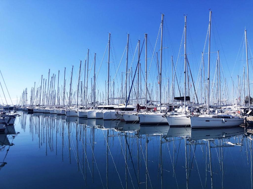 a group of boats docked in a harbor at Harmonia in Athens