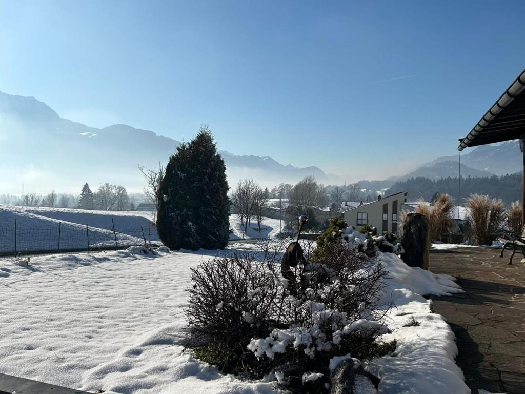 Naturlandskabet i nærheden af feriehuset