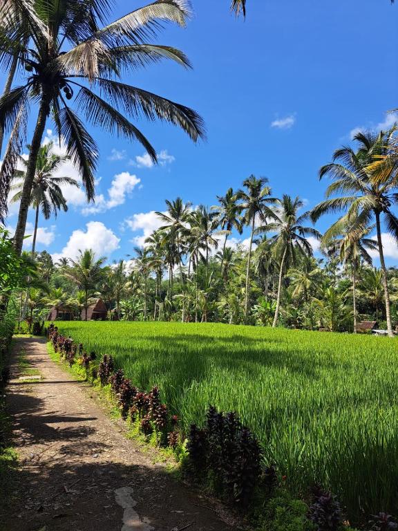 Zahrada ubytování tarotours accommodation
