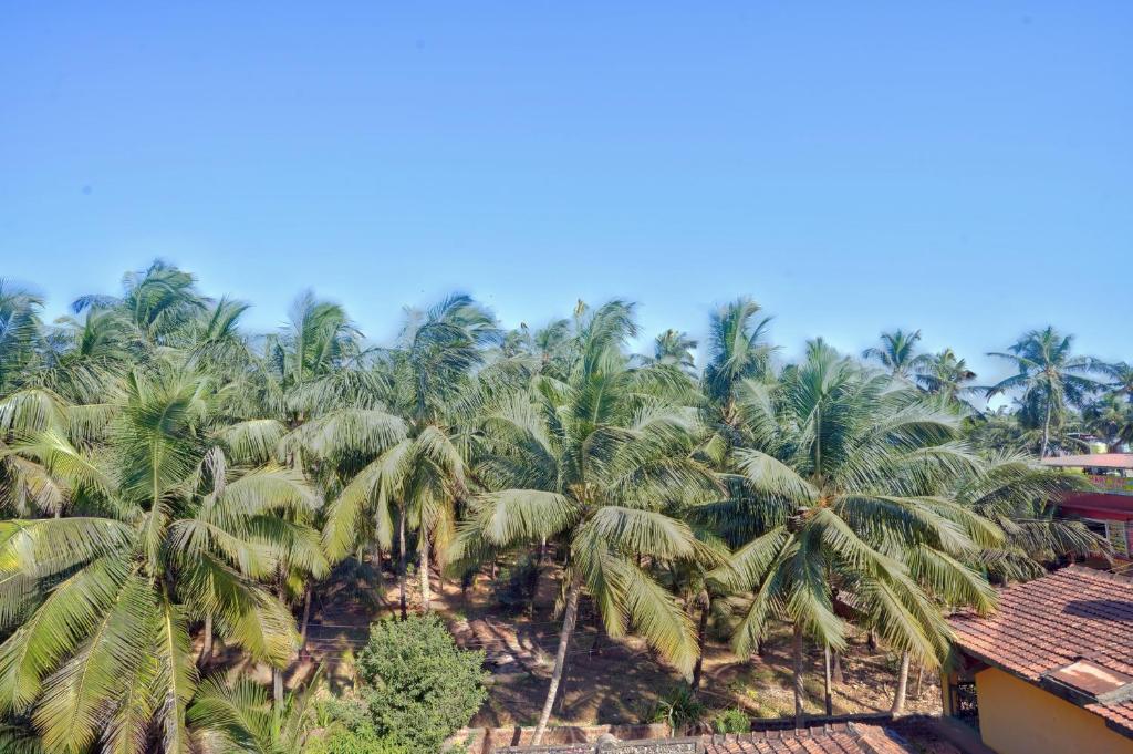 Φυσικό τοπίο κοντά σε αυτό το ξενοδοχείο