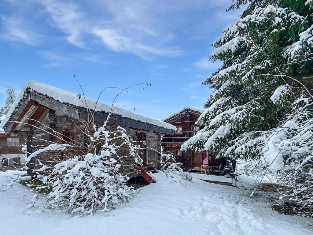 uma cabana com neve nos ramos de uma árvore em Happiness only! em Bruson