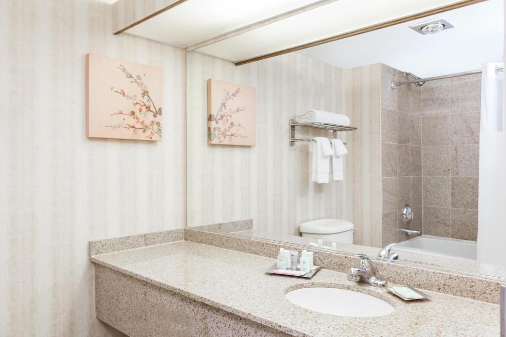 a bathroom with a sink and a toilet and a mirror at Wyndham Indianapolis Airport in Indianapolis