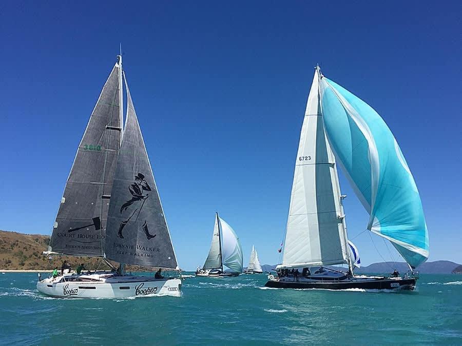 a group of sailboats in the ocean on the water at Tropic Haven in Airlie Beach