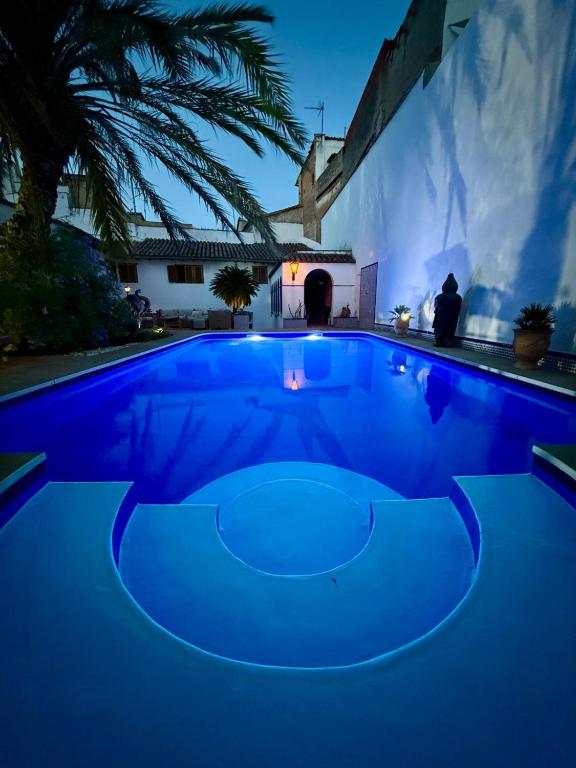 a blue swimming pool at night with a palm tree at Séjour Royal in Xàtiva
