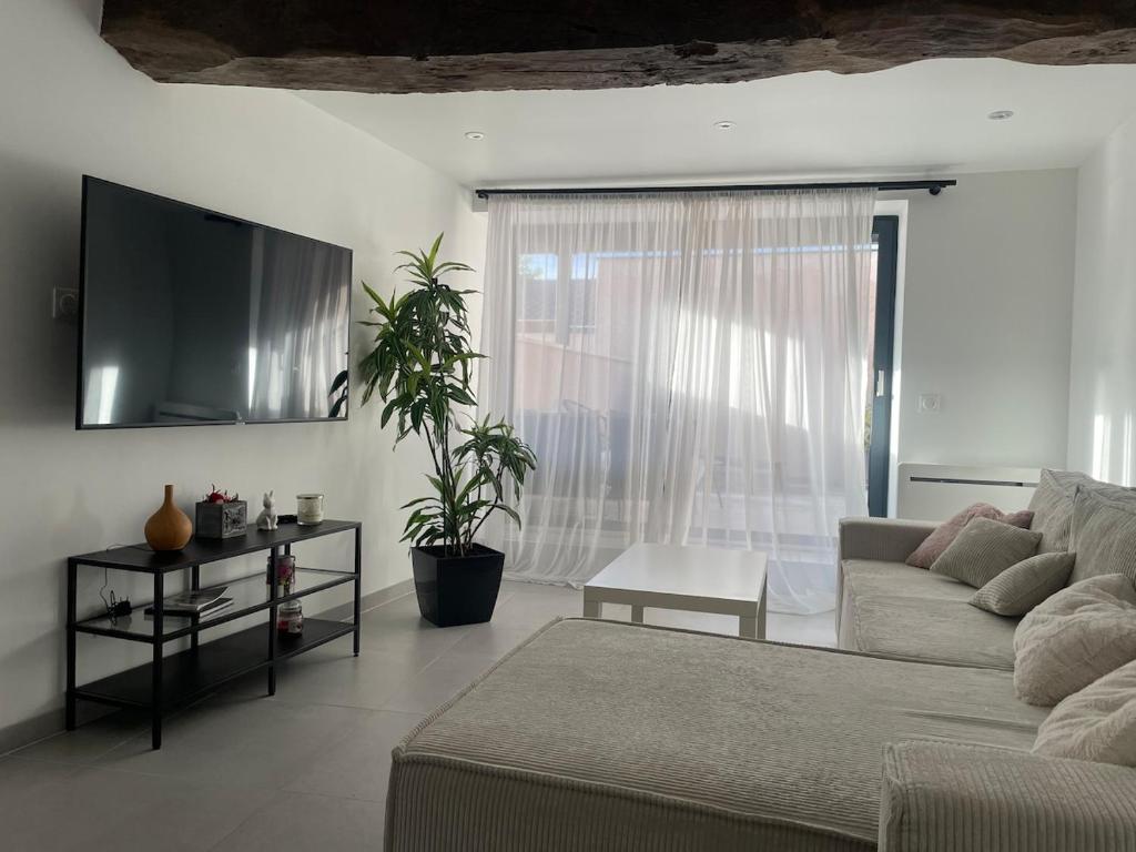 TV a/nebo společenská místnost v ubytování Appartement avec terrasse - Beaujolais