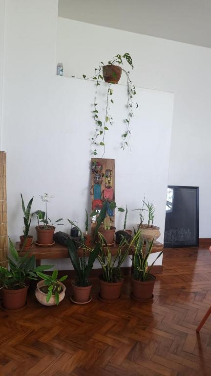 Foto de la galeria de Mozpandi a Maputo