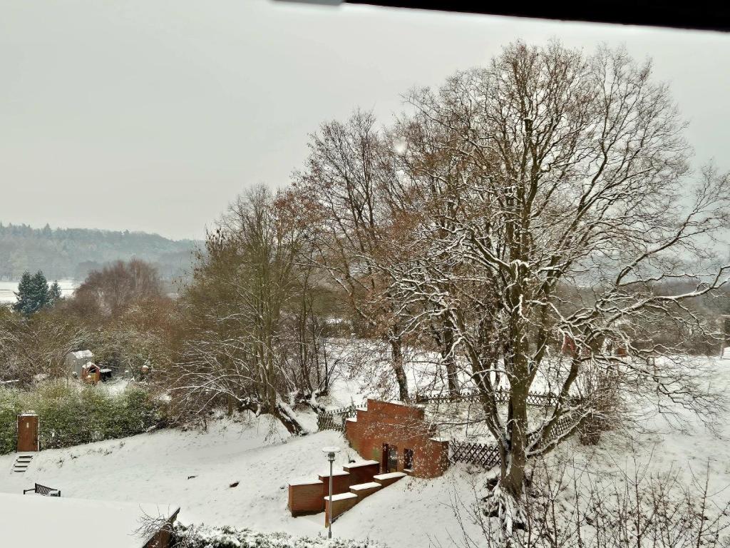 a snow covered field with a tree and a building at Ferienidyll an der Recknitz in Tessin