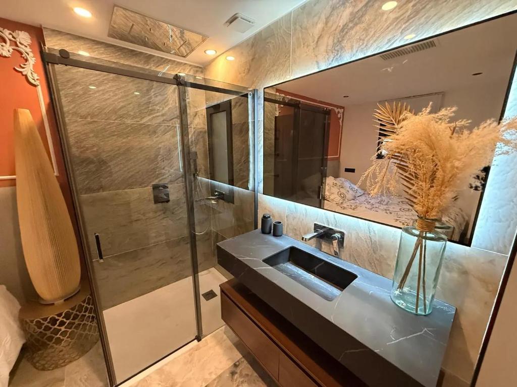 蒙彼利埃Appartement 3 chambres à Montpellier, 70 m²的带水槽和带镜子的淋浴的浴室