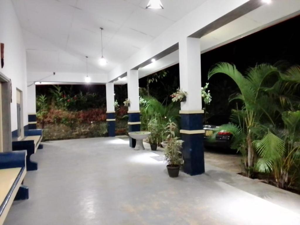 哈普特莱Sara's Grove Boutique Bungalow的楼内带长椅和盆栽的走廊