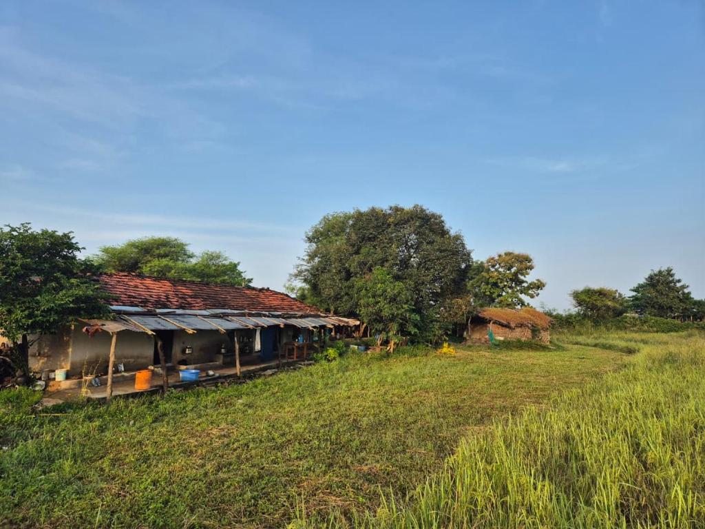 SehoreRadhe Radhe Homestay的田野上山丘上的房屋