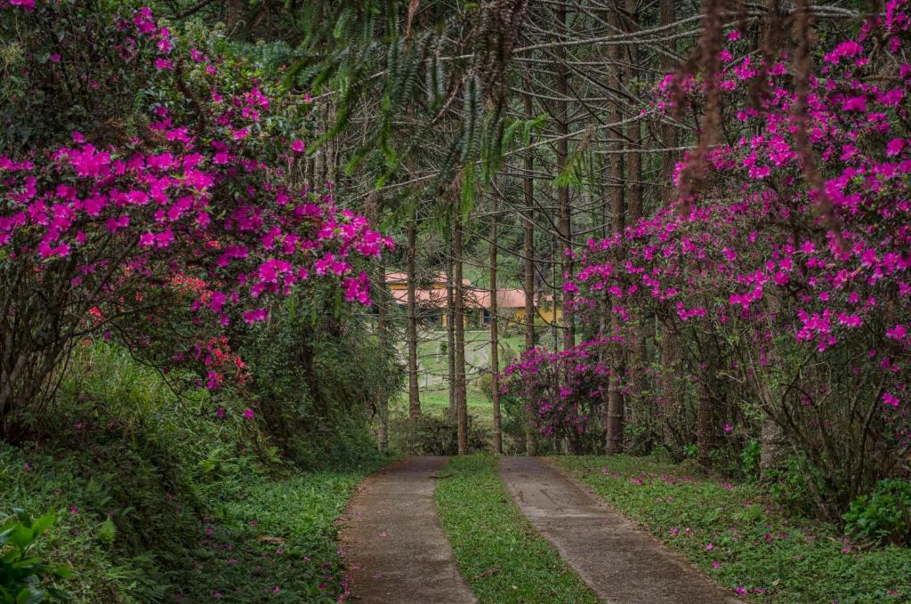  A Casa da Fazenda