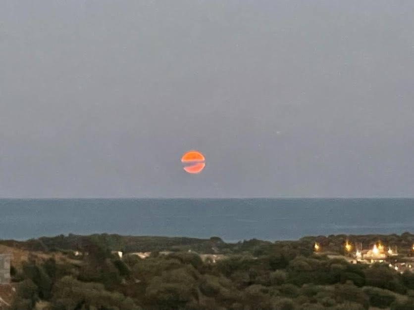 Galeriebild der Unterkunft House 40 in Budoni