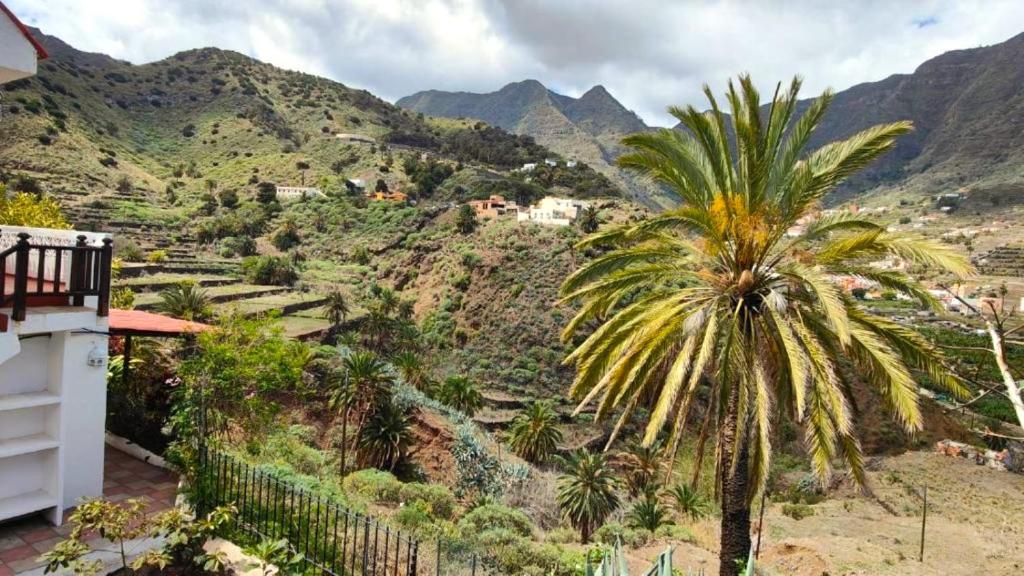 Naturlandskabet i nærheden af lejligheden