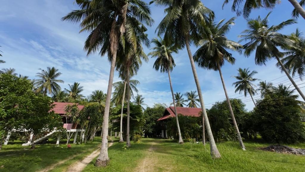 a row of palm trees in front of a house at Nazo Boutique Bungalows in Wok Tum