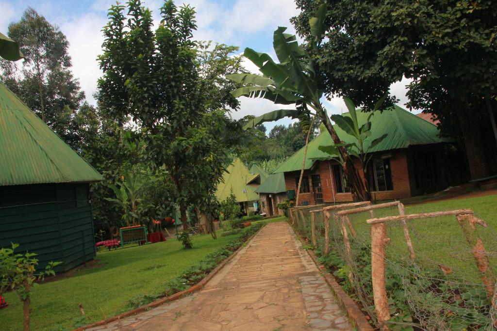 Songota Falls Lodge