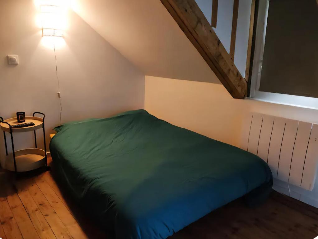 a bedroom with a green bed and a lamp at Charmant studio typique & cosy au Cœur de Caen in Caen