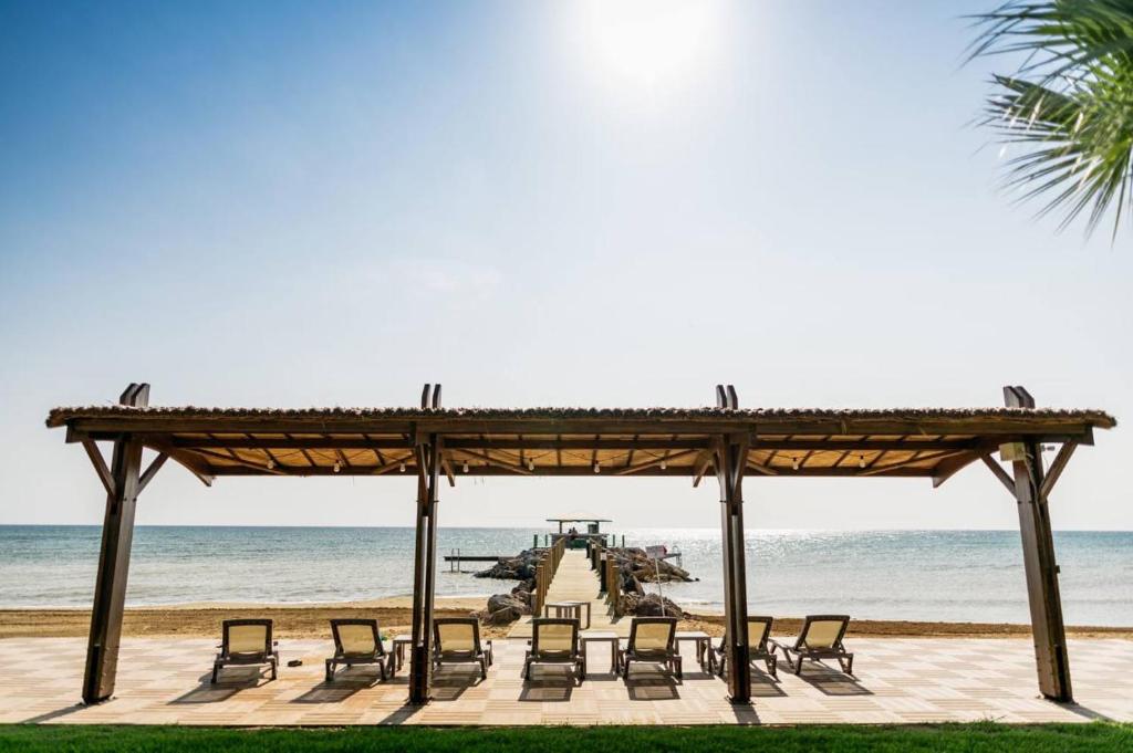Exclusive Apartments in Thalassa Beach Resort - Housity