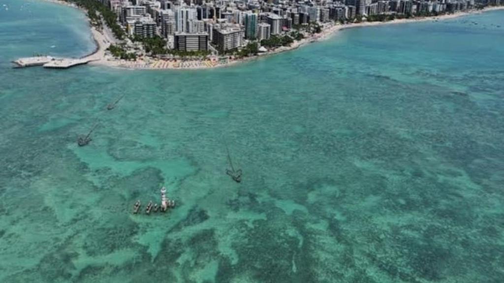 Природа в окрестностях апартаментов/квартиры