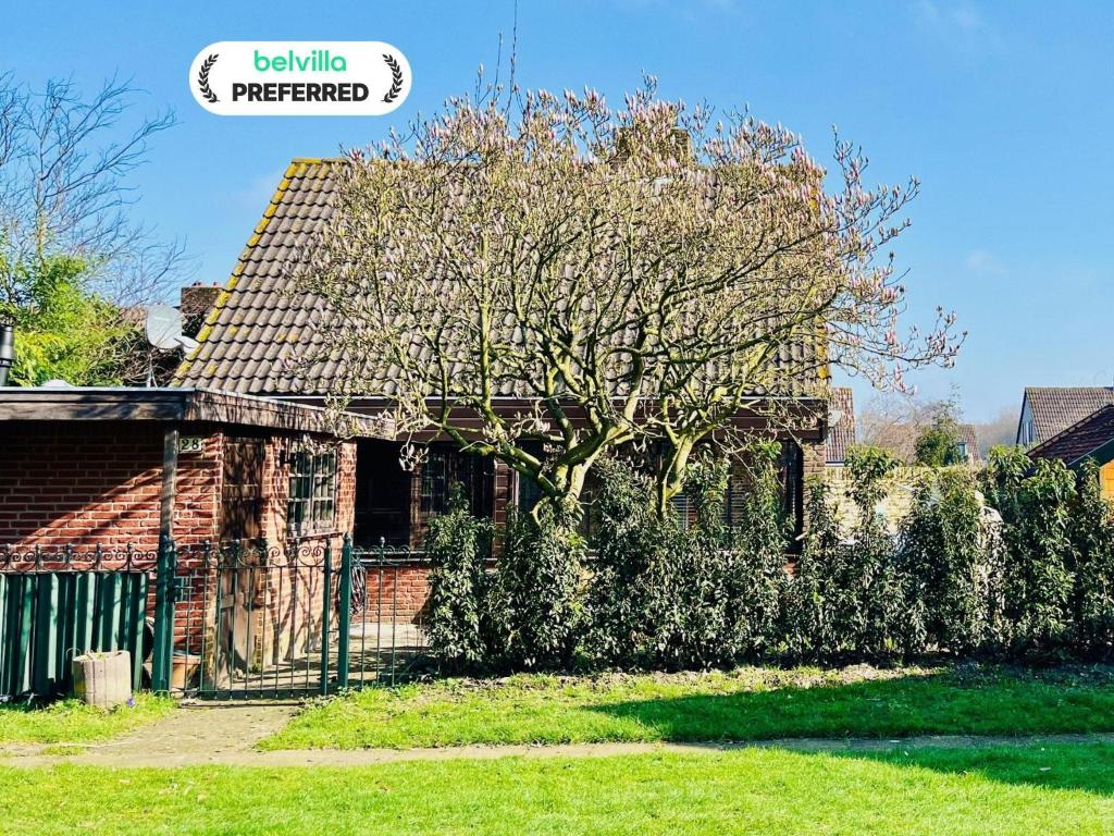 an old brick house with a tree in the yard at Family home near lake, beach and dunes in Noordwijkerhout