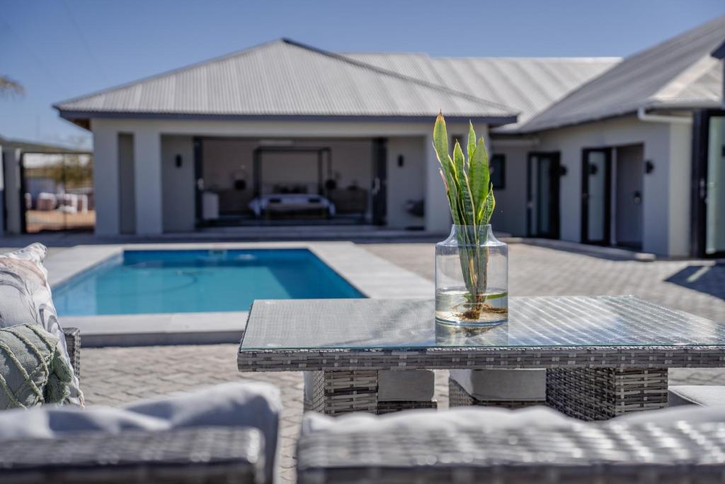 斯普林博克Kénosis Guest Farm Main House的游泳池旁边的桌子上放着一个花瓶，里面有一株植物