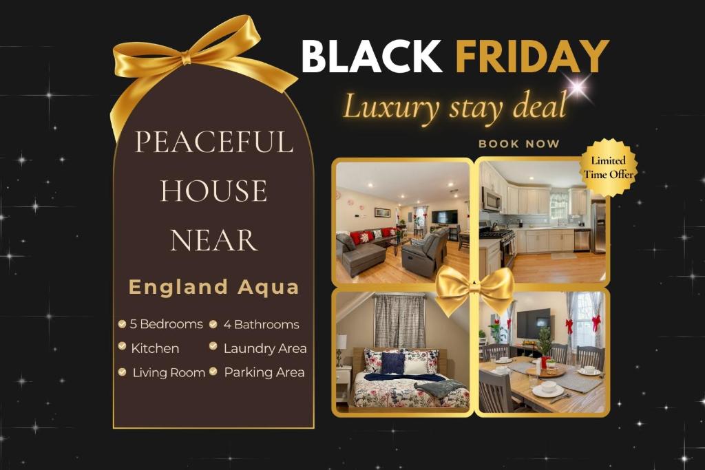 a black friday flyer with a yellow bow at 284 - 5BR Boston - Peaceful House near England Aqua in Quincy