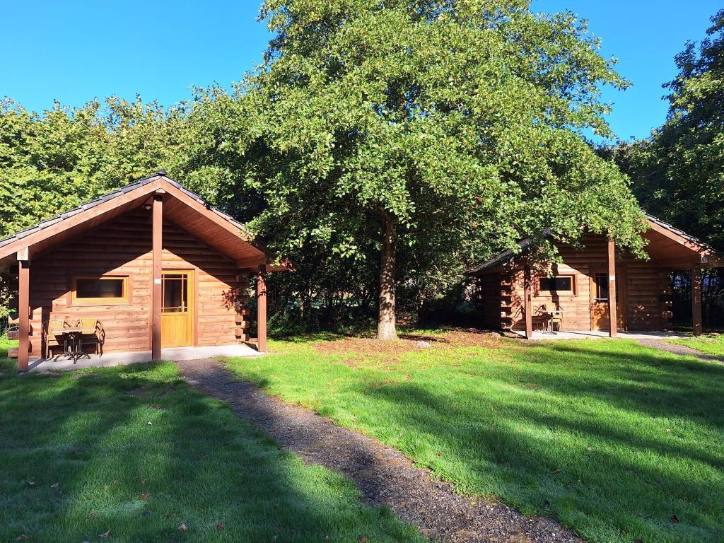 a log cabin with a tree and a grass yard at Vakantiepark Zwartemeer in Zwartemeer