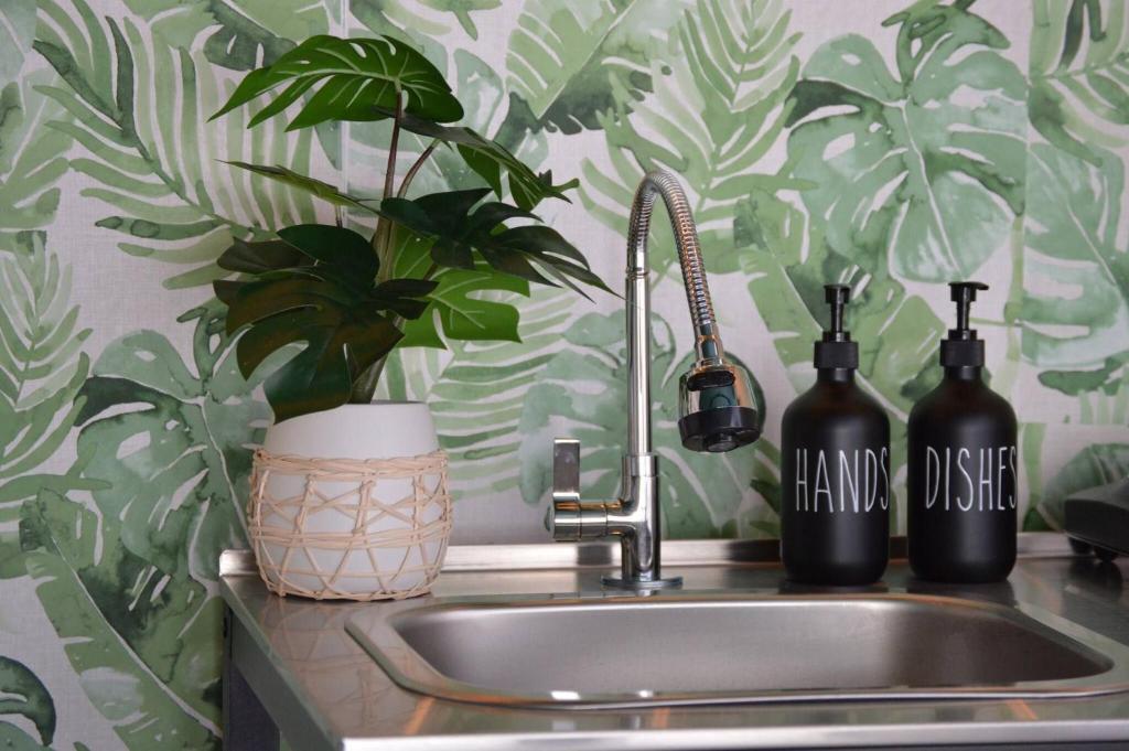 صورة لـ Charming Boutique Apartment in San Sebastian, في Hato Arriba