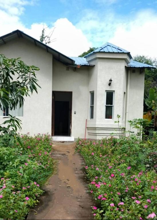 Mi Casita Elegante en contacto con la Naturaleza