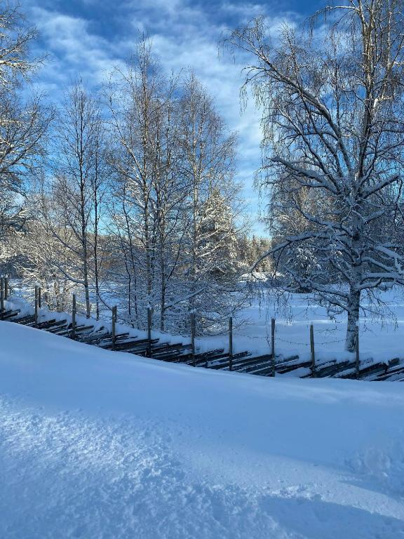 a snow covered field with trees and a fence at Renovated Cabin With Views In Trysil in Ljørdal