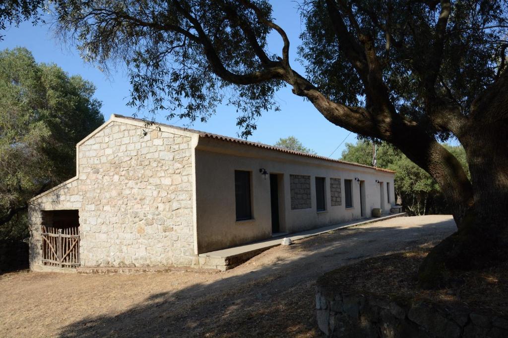 a stone building with a tree in front of it at Stazzu Spadulagliu near Olbia in Telti