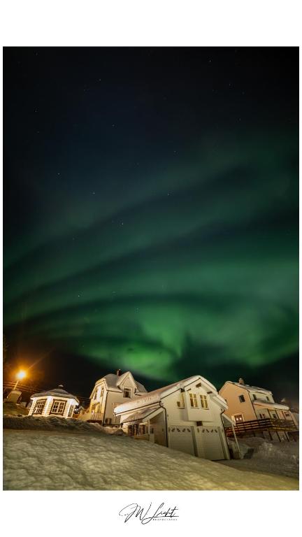 an image of the aurora borealis in the sky at Visit Leif at Senja in Gibostad